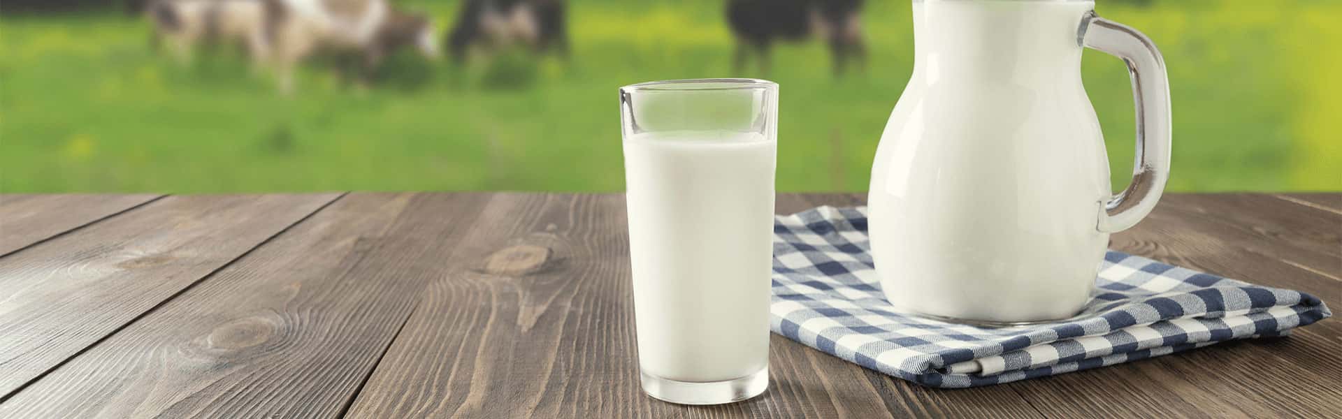 Susu Cair dapat Membantu Kebutuhan Nutrisi Harian Keluarga untuk Menjaga Daya Tahan Tubuh